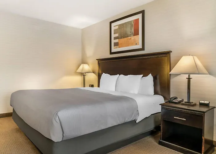 Quality Inn & Suites Next To The Casino