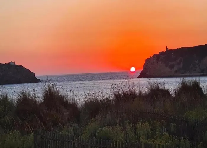 Apartment Sao Martinho Near Beach