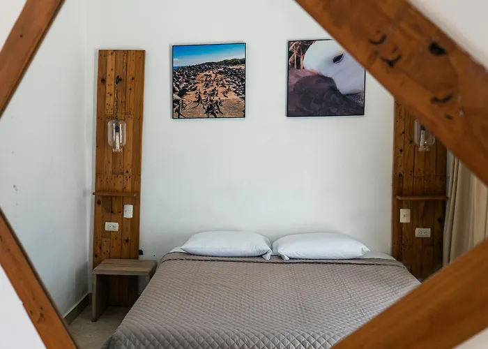 Galapagos Dreams