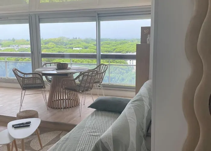 Vue panoramique pour ce grand studio en centre ville