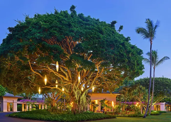 The Ritz-Carlton Maui, Kapalua