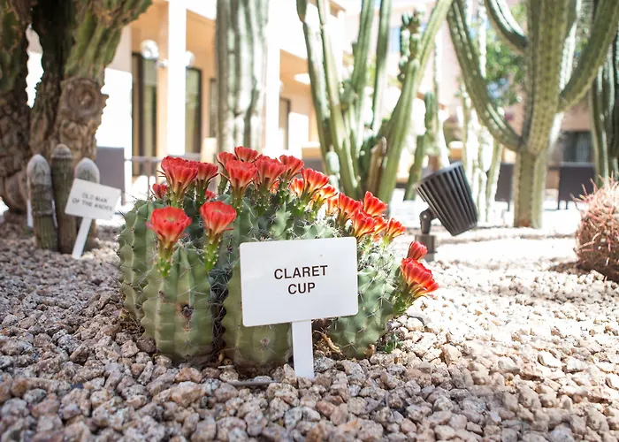Courtyard By Marriott Phoenix Mesa