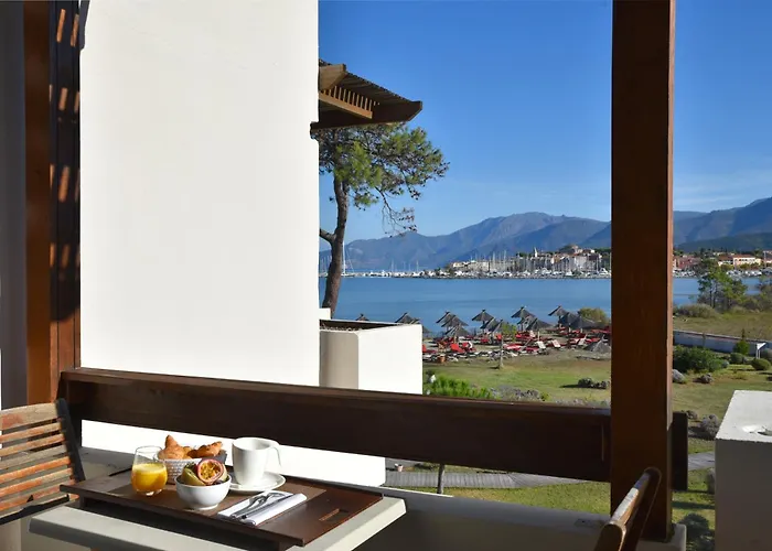 Hotel La Roya