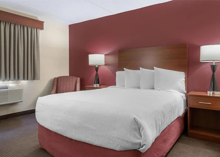 Surestay Plus Hotel By Best Western Litchfield