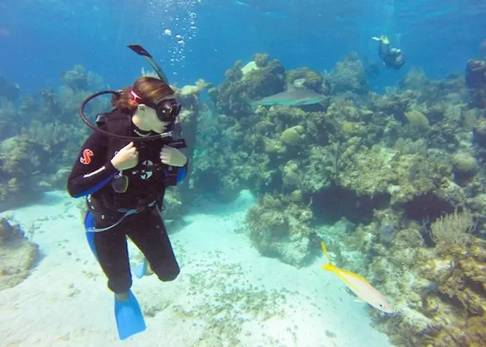 Green Turtle Club Resort & Marina