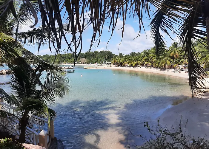 Coco Reef Resort & Spa
