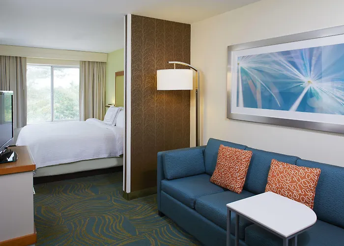 Springhill Suites By Marriott Atlanta Six Flags
