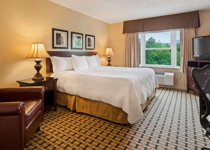 Silver Fox Inn