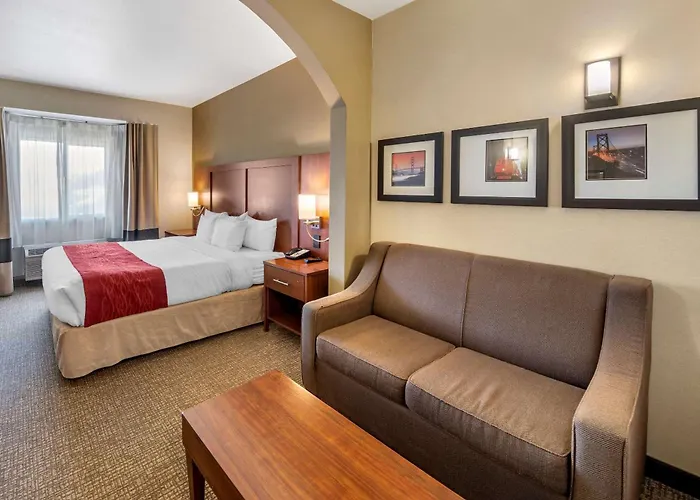 The Atrium Hotel Sfo Airport - Free Shuttle & Breakfast