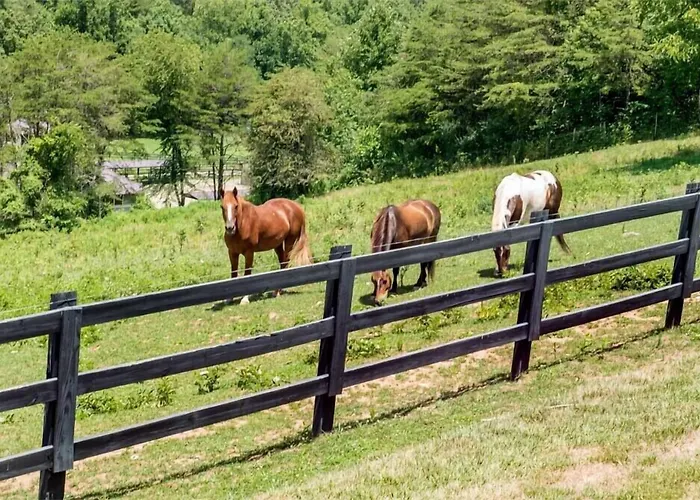Brasstown Valley Resort & Spa