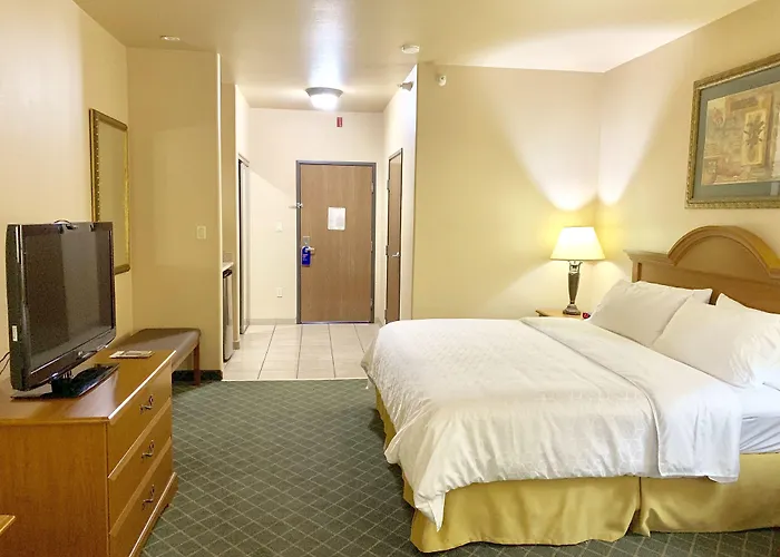 Holiday Inn Express Hotel And Suites Alice By Ihg