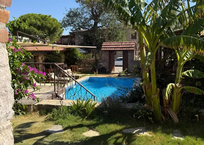 Pet Friendly Pool Suites