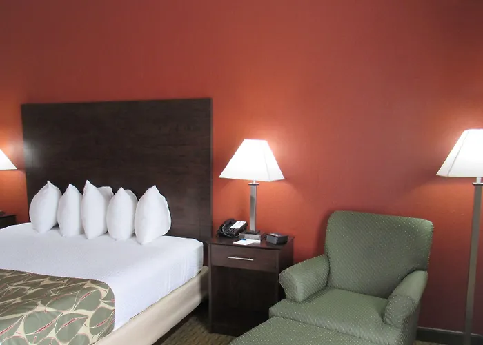 Best Western Executive Inn - Latta