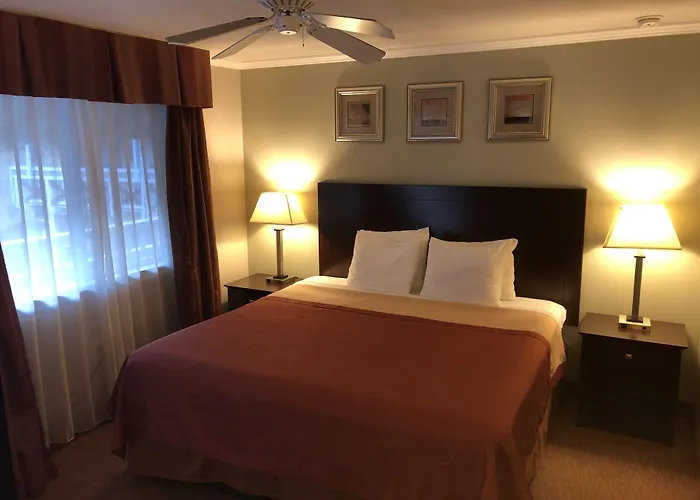 Global Inn