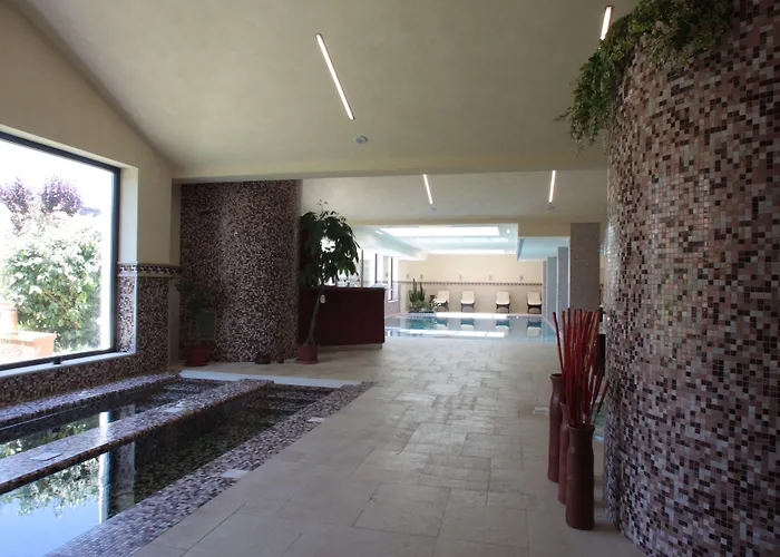 Palace Hotel San Michele