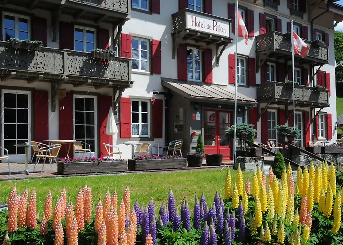 Historic Hotel Du Pillon