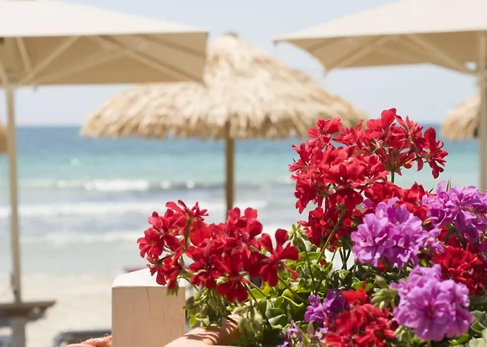 Conchiglia Azzurra Hotel&Beach