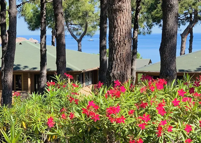 Résidence Les Pins