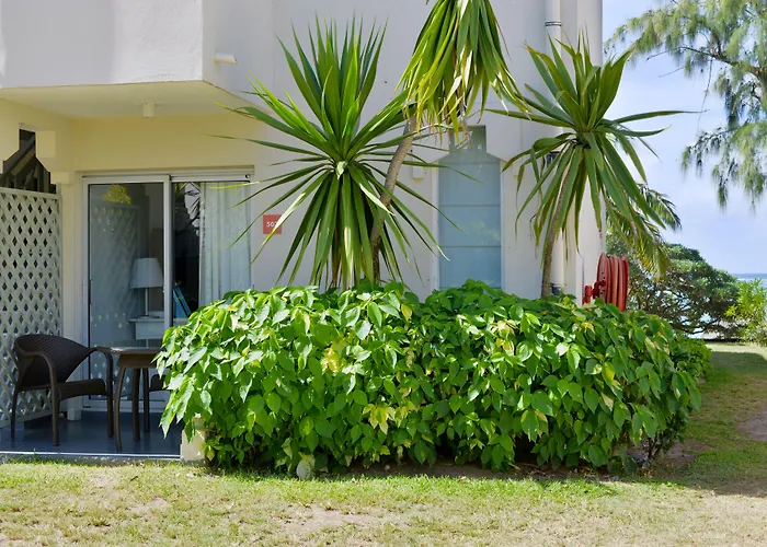 C Mauritius Palmar (Adults Only)