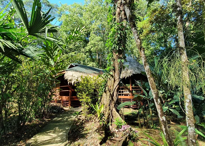 Cariblue Beach And Jungle Resort