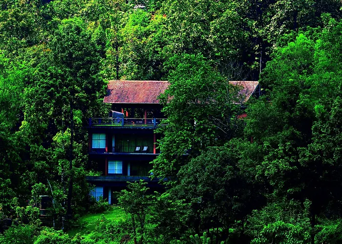 Rainforest Resort