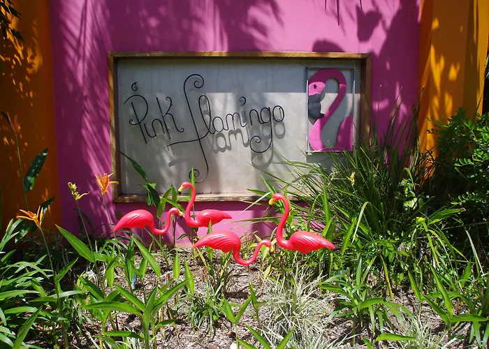 Pink Flamingo Resort