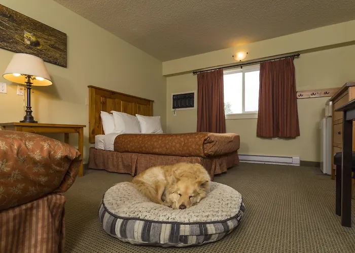 Red Tree Lodge