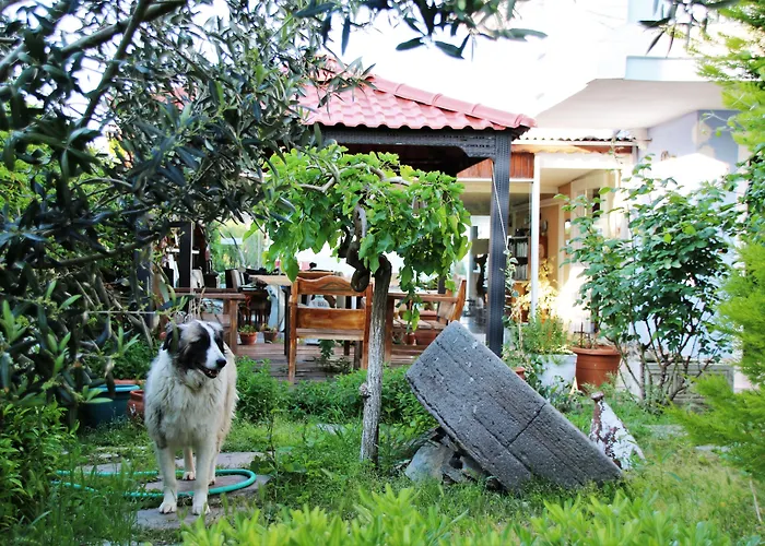 Cundavilla Hotel & Suites