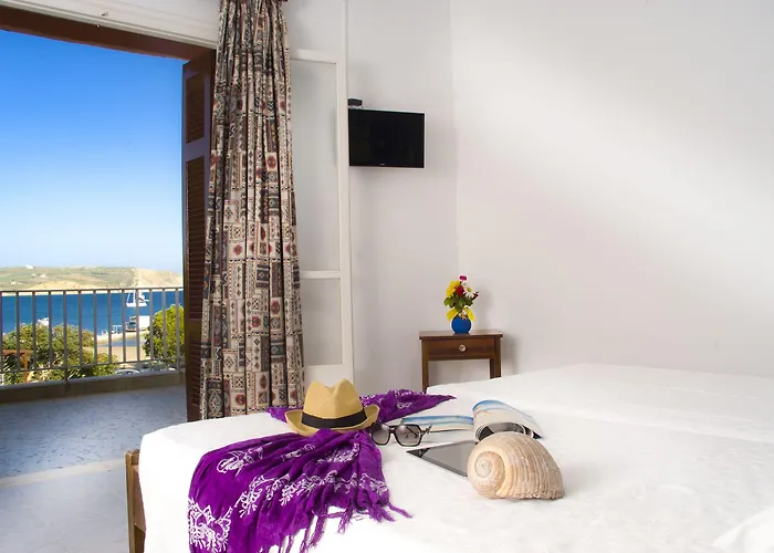 Hotel Alex