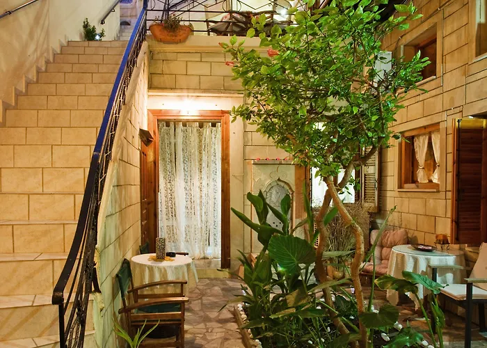 Barbara Studios