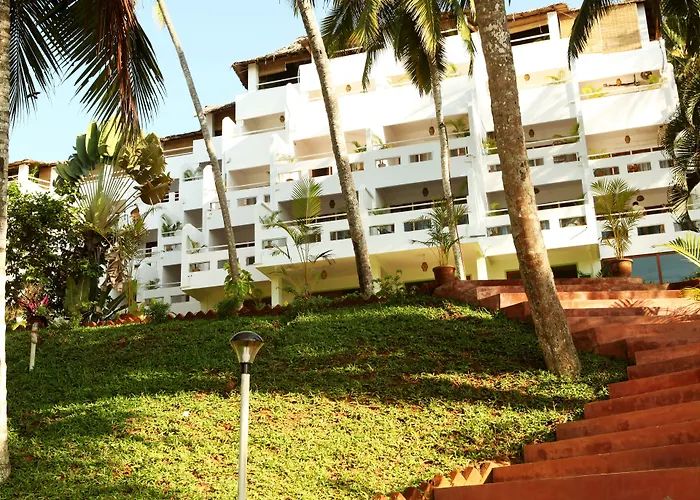 Soma Palmshore