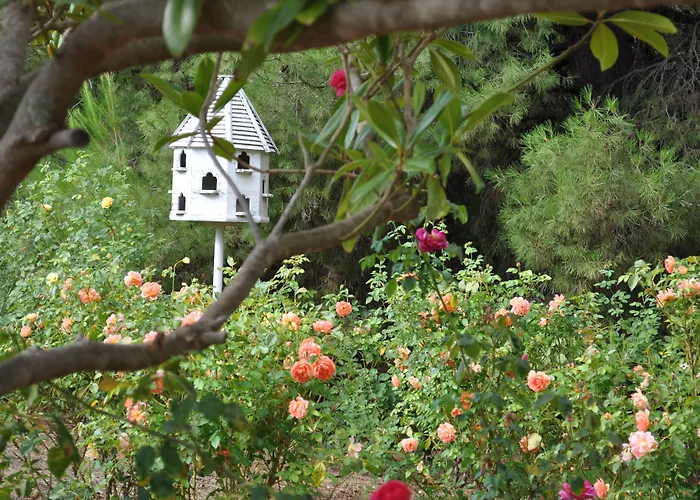 The Lyndoch Motel