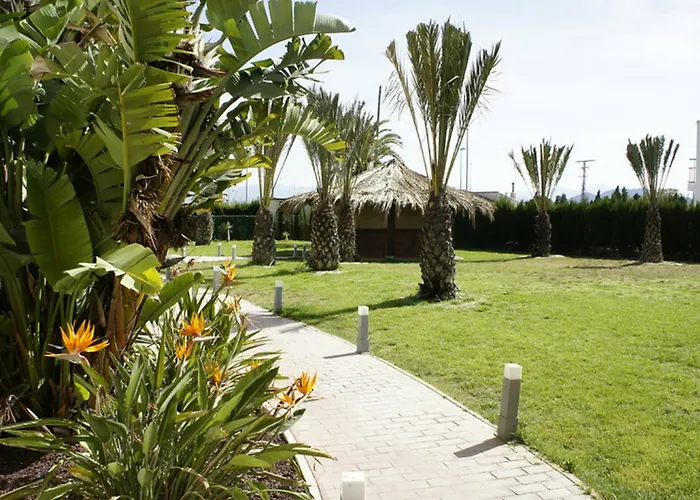 Aparthotel Playa Oliva
