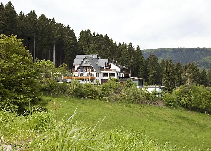 Wald Hotel Willingen