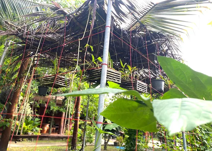 Nadia Resort Kohjum