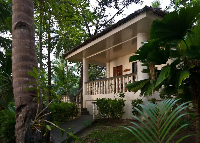 Easy Diving And Beach Resort