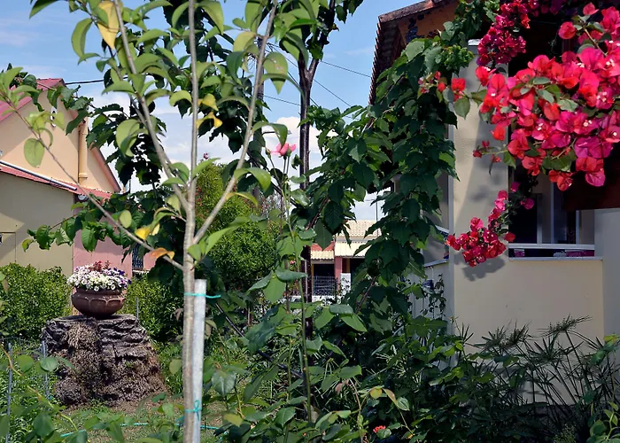 Feeloxenia Corfu Apartments