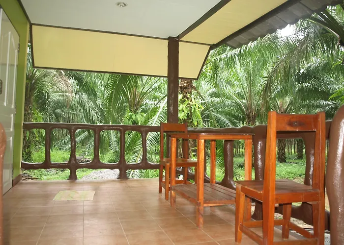 Khao Sok Palmview Resort