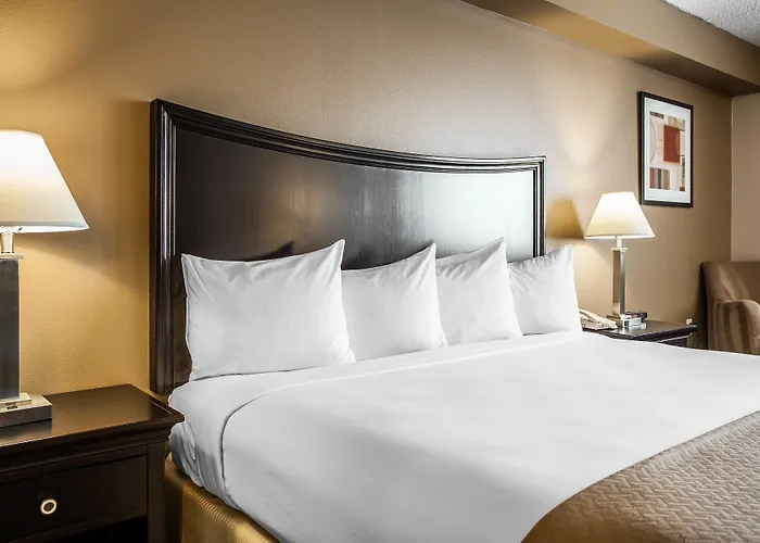 Comfort Inn & Suites Pacific - Auburn