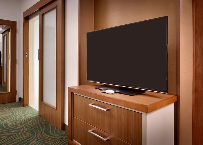 Springhill Suites By Marriott Houston I-45 North