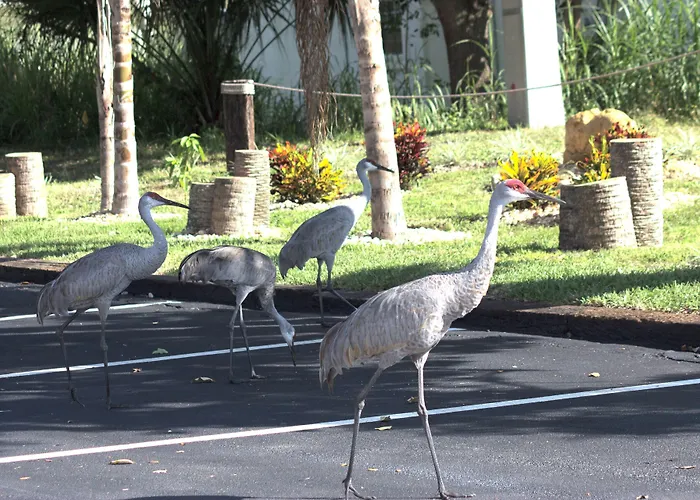 At Home Inn - Fort Pierce