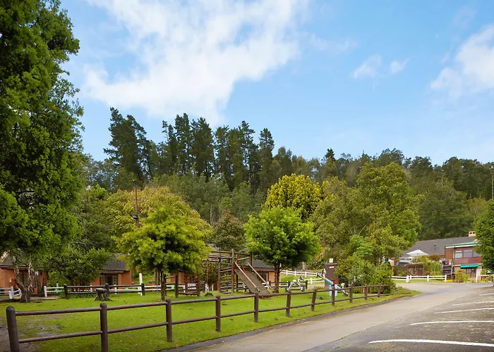 Gooderson Knysna Chalets