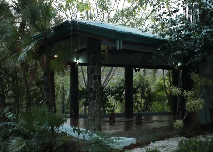 Jungles Edge Hotel, Jiu Jitsu, Muay Thai Retreat Center