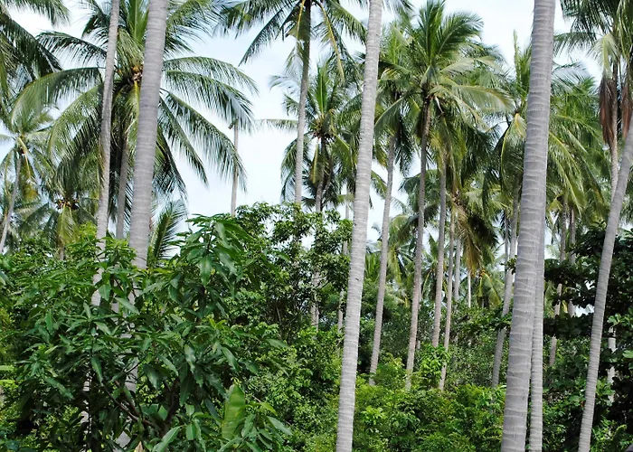 Baan Sawan Samui Resort