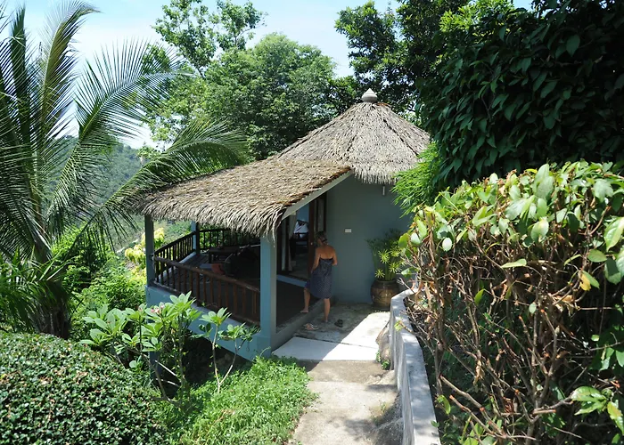 The Jungle Club