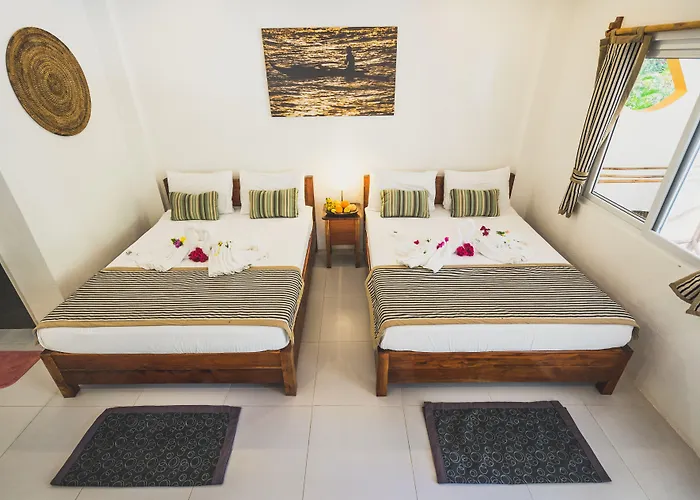Evolution Dive And Beach Resort