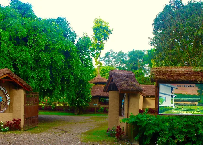 River View Jungle Camp