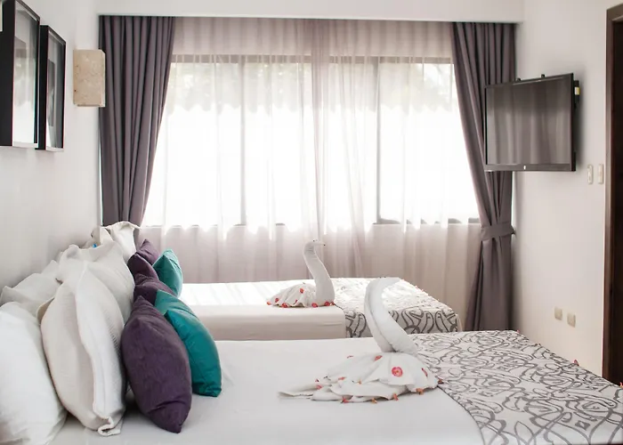 Hotel Silvestre