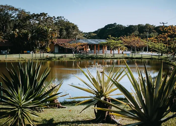 Palmas Hotel & Spa