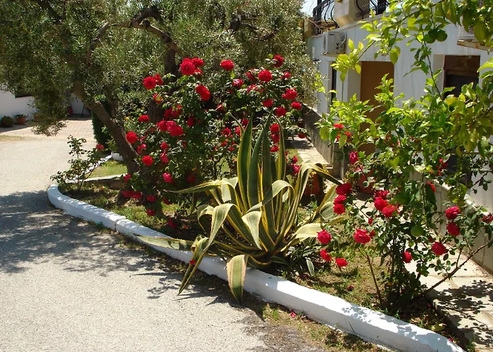 Asteris Village
